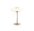 extraordinary-table-lamp